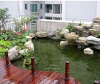 魚池過濾毛刷應(yīng)用